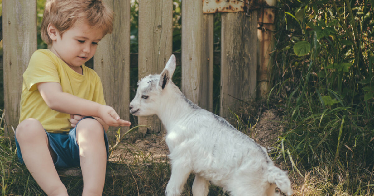 Parenting Place Kids, colourful language and goats